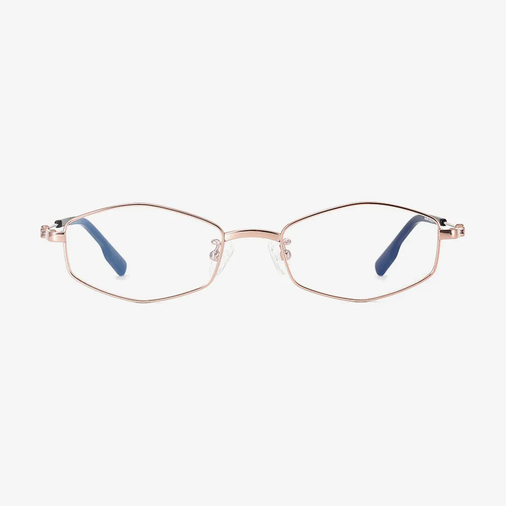 Devon Geometric Titanium Glasses